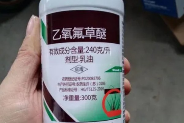 大蒜除草用哪种除草剂，可用乙草胺、二甲戊灵等