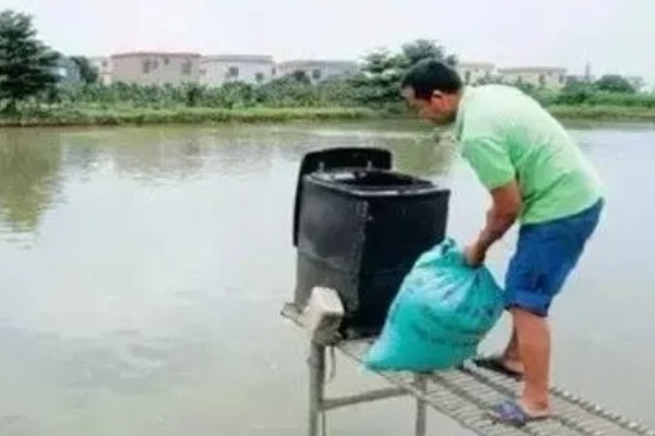 笋壳鱼能不能养，养殖笋壳鱼是十分普遍的