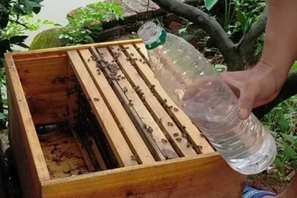 蜂箱撒盐治巢虫靠不靠谱，从理论上看是有效的
