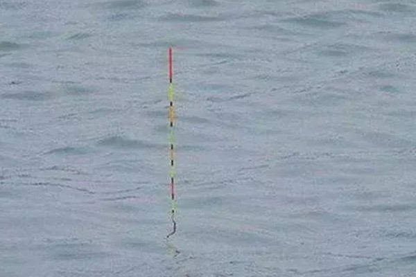 草鱼冬天开口吗，需要看周围水温是否适宜而定