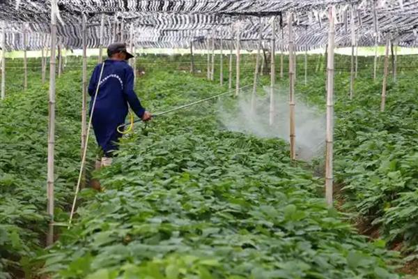 戊唑醇的常见剂型，有75%水分散粒剂、6%胶悬剂等种类