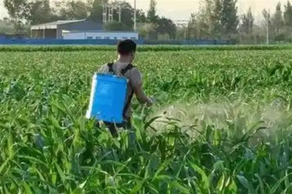 戊唑醇的常见剂型，有75%水分散粒剂、6%胶悬剂等种类