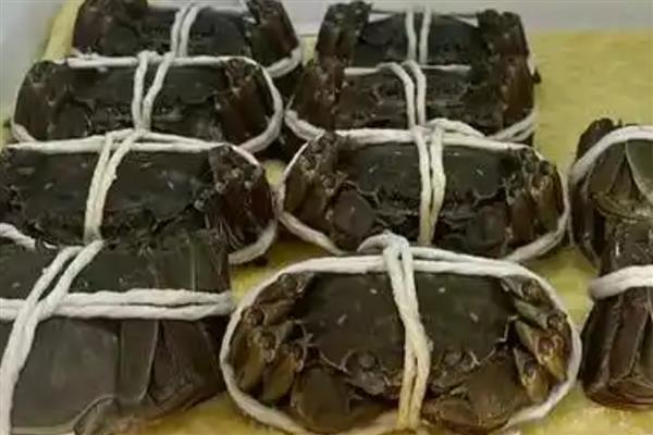 河蟹怎么养能多活几天，需要给它做好保湿工作