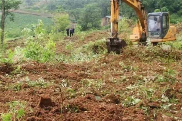 山药的种植技术,每亩地施加3-5m³的腐熟有机肥