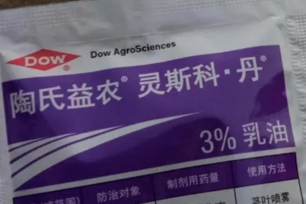 灵斯科丹会影响水稻分蘖吗，通常不会影响到水稻分蘖