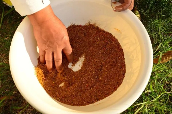 罗非鱼喜欢吃什么饵料,对腥味饵料最感兴趣