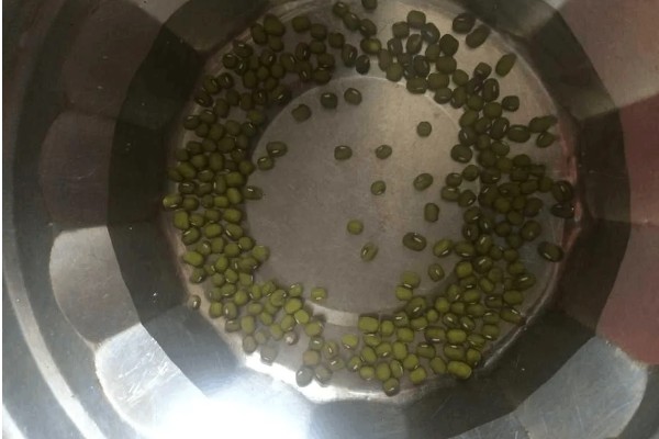 绿豆的种植注意事项，可以在4-5月份进行种植