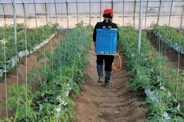 苯甲丙环唑的作用,是新一代的强力杀菌剂