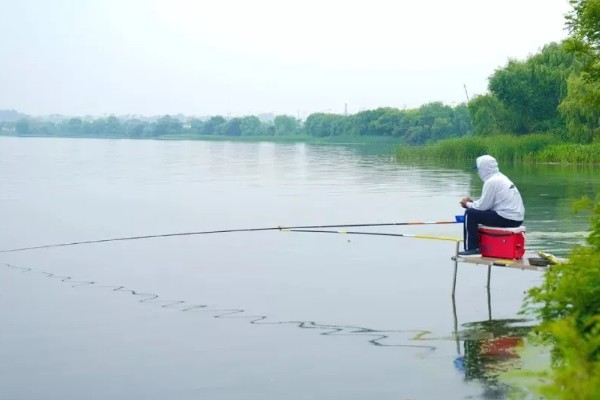 冬季钓鲤鱼如何选择钓位,选择水深2米以上的水草区