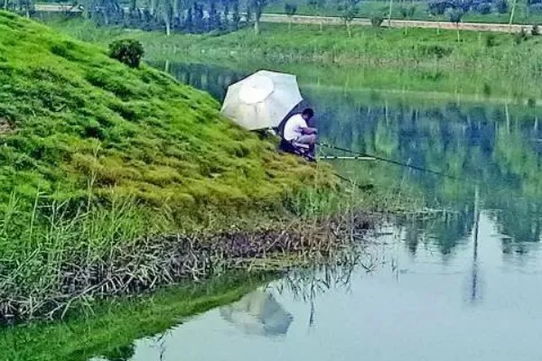 冬季钓鲤鱼如何选择钓位,选择水深2米以上的水草区