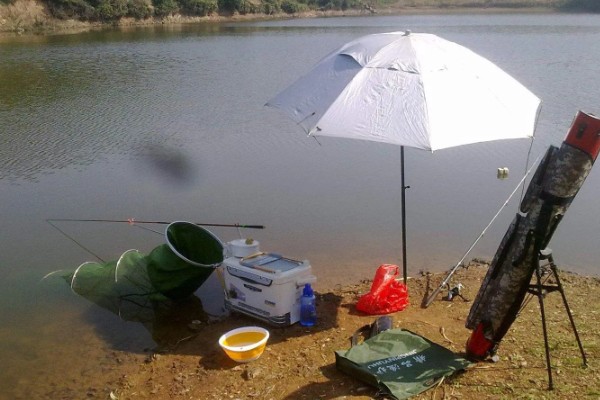 冬季钓鲤鱼如何选择钓位,选择水深2米以上的水草区