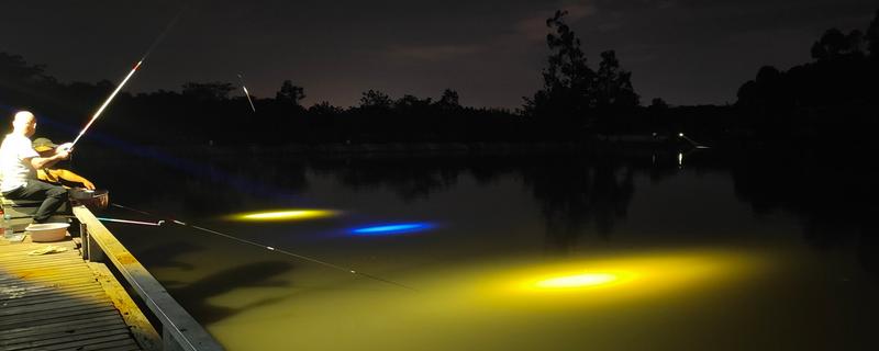 晚上钓鱼使用灯光有影响吗，光源微弱且颜色适宜可吸引鱼类