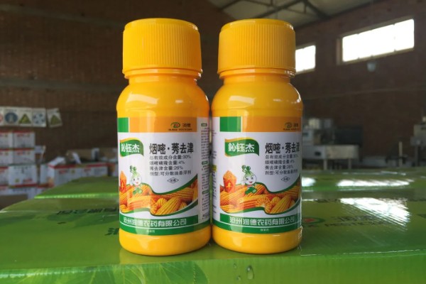 烟嘧莠去津杀什么草，防除一年生禾本科杂草及阔叶杂草