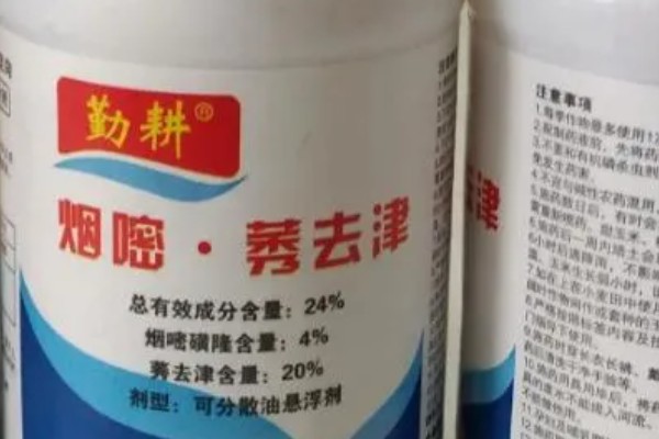 烟嘧莠去津杀什么草，防除一年生禾本科杂草及阔叶杂草