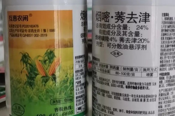 烟嘧莠去津杀什么草，防除一年生禾本科杂草及阔叶杂草