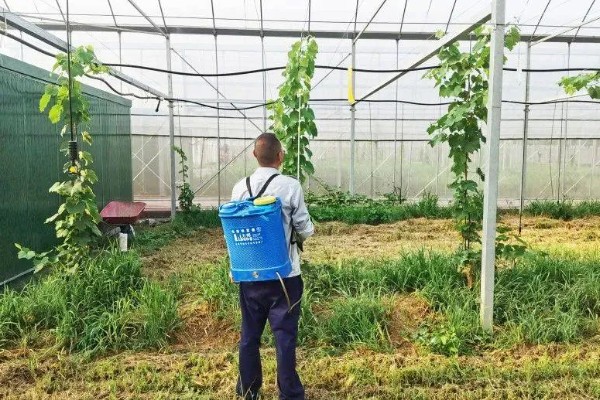 烟嘧莠去津杀什么草，防除一年生禾本科杂草及阔叶杂草