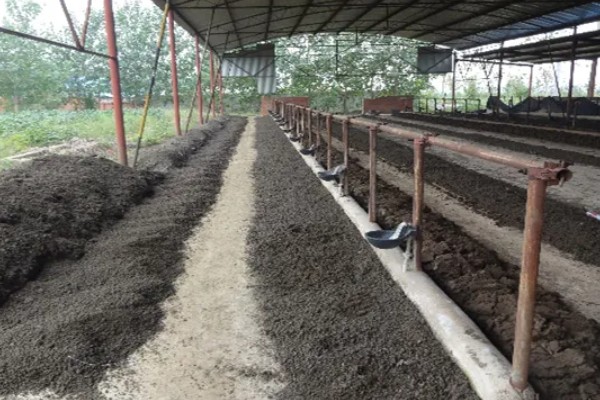 蚯蚓的养殖模式,可采用箱筐养殖法、池养法等