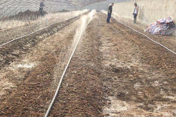 蚯蚓的养殖模式,可采用箱筐养殖法、池养法等