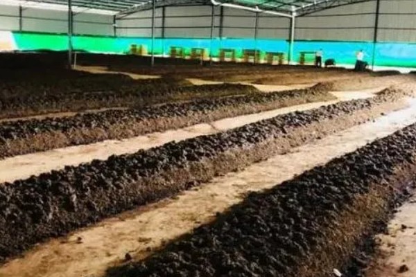 蚯蚓的养殖模式,可采用箱筐养殖法、池养法等