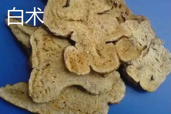 苍术和白术的区别是什么,来源和性状均不同