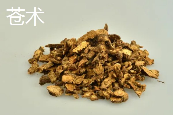 苍术和白术的区别是什么,来源和性状均不同