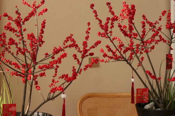 冬青的寓意,寓意着生机盎然