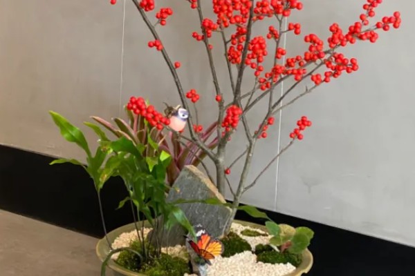 冬青的寓意,寓意着生机盎然