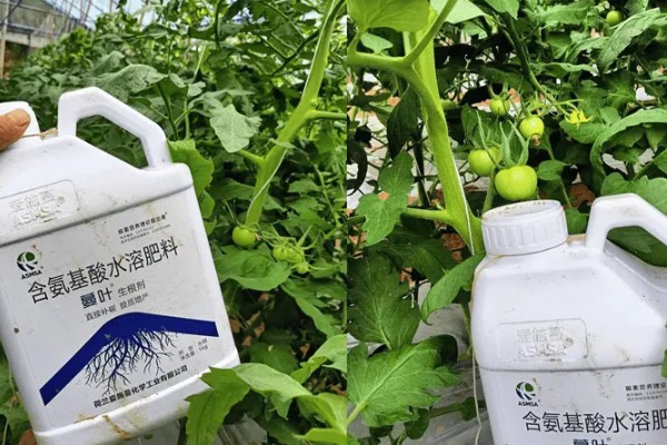 含氨基酸水溶肥料的优势，主要优势是使用方便
