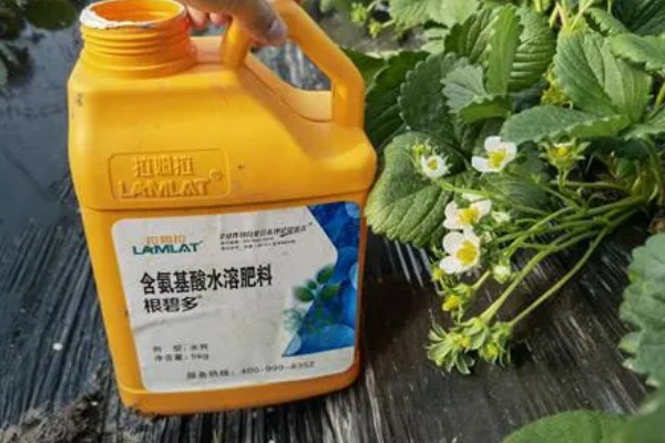 含氨基酸水溶肥料的优势，主要优势是使用方便