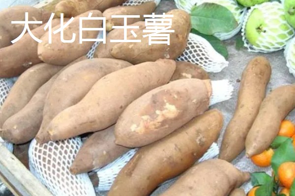 广西河池市大化瑶族自治县的特产,有七百弄山羊、大化白玉薯等