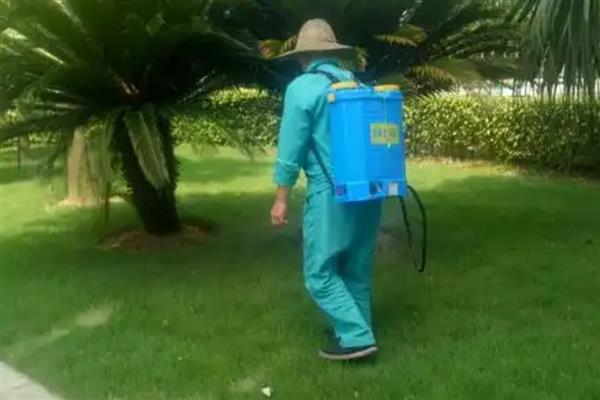 山蛩虫如何根除，在经常出没的地方撒上生石灰