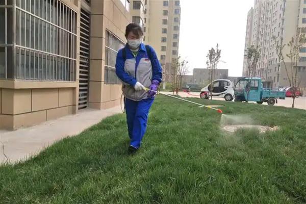 山蛩虫如何根除，在经常出没的地方撒上生石灰