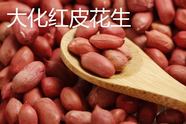 广西河池市大化瑶族自治县的特产,有七百弄山羊、大化白玉薯等