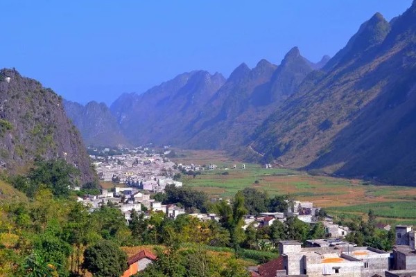 广西河池市大化瑶族自治县的特产,有七百弄山羊、大化白玉薯等