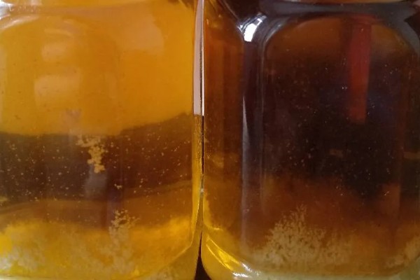 真假蜂蜜结晶后的区别，结晶颗粒的软硬程度明显不同