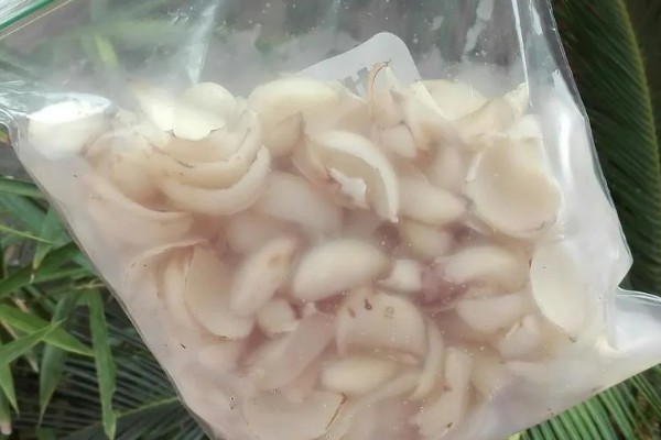 百合的寓意，寓意美好祝福、百年好合等