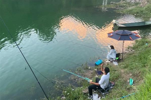 鲤鱼几月份开口，只要饵料使用的当一年四季都可以开口