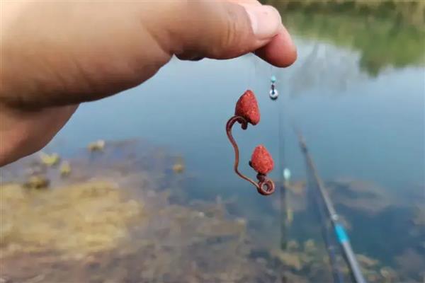 鲤鱼几月份开口，只要饵料使用的当一年四季都可以开口