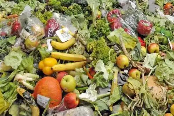蔬菜废弃物如何正确处理,需及时集中烧毁或挖坑深埋