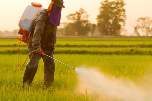 蒲公英的病害防治方法,不同病害的防治方法不同