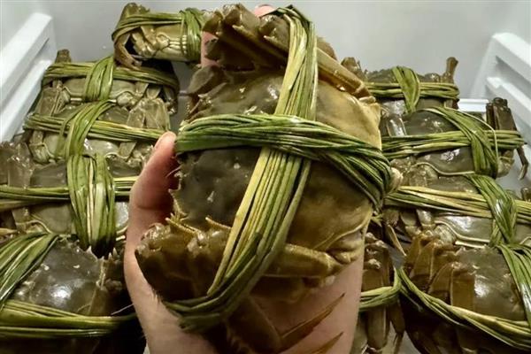 螃蟹死了多长时间就不能吃了，要根据保存的环境而定