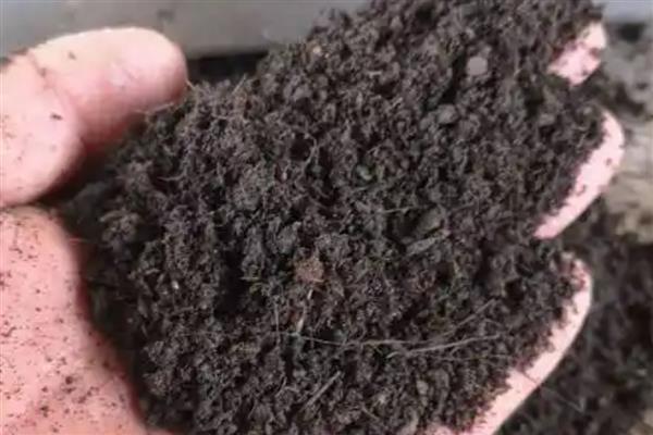 羊粪怎么发酵才能当肥料,可密封发酵也可埋土发酵