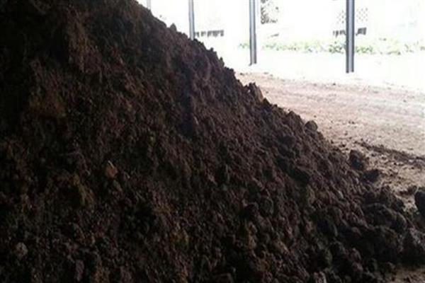 羊粪怎么发酵才能当肥料,可密封发酵也可埋土发酵