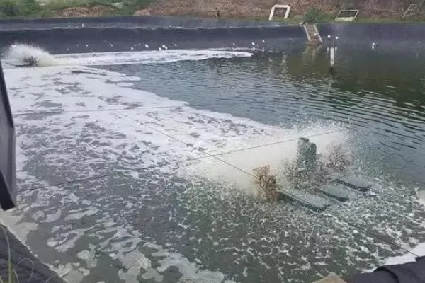 农村死水池塘怎么养鱼，先要进行清塘消毒处理