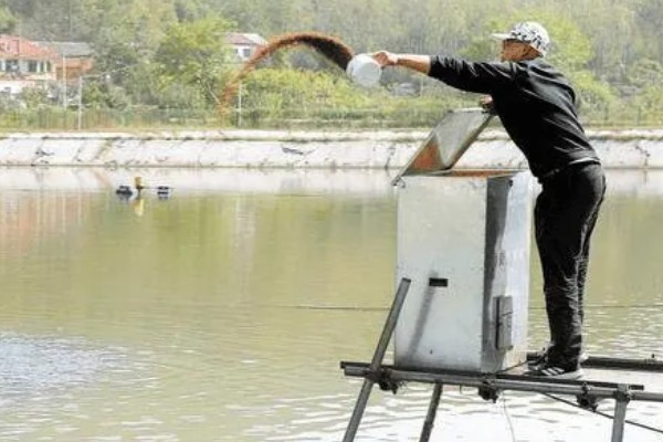 农村死水池塘怎么养鱼，先要进行清塘消毒处理