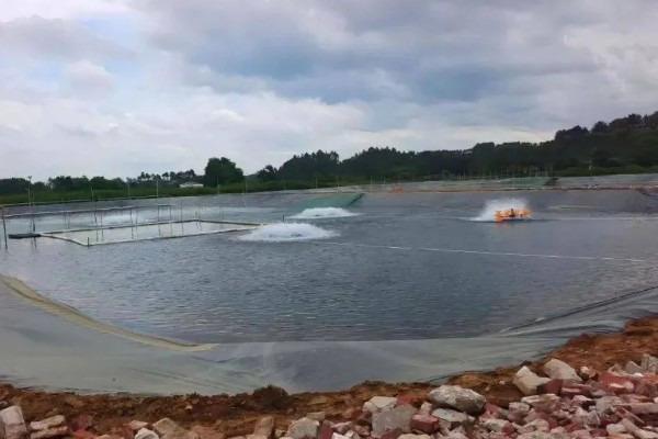 农村死水池塘怎么养鱼，先要进行清塘消毒处理