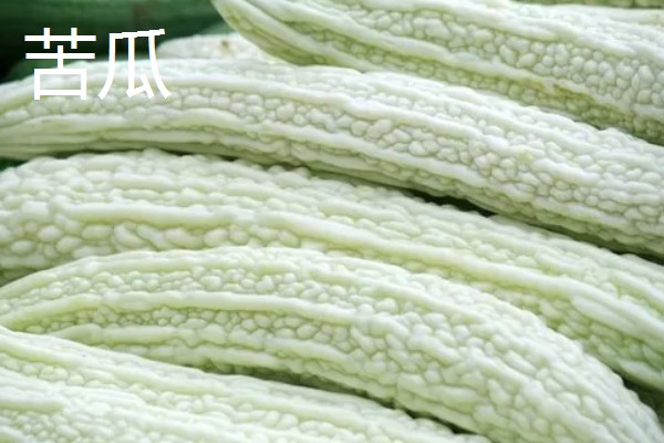 凉性蔬菜有哪些，常见的有生菜、芹菜等