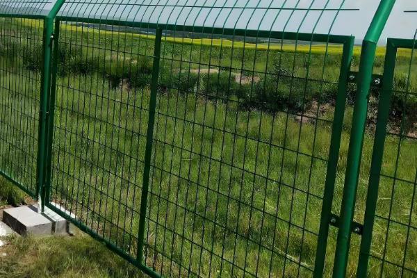 野猪吃庄稼怎么处理,可以设置围墙