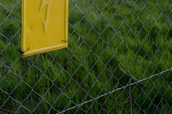 野猪吃庄稼怎么处理,可以设置围墙