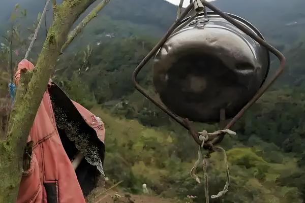 野猪吃庄稼怎么处理,可以设置围墙